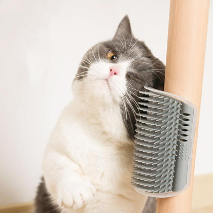 Corner Pet Brush Comb Play Cat Toy Plastic Scratch Bristles11.11Arch Massager Self Grooming Cat Scratcher Jouet Pour Chat Dog 23