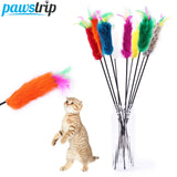 10Pcs/lot Interactive Pet Cat Toys Soft Rabbit Fur Cat Teaser Colorful Feather Cat Stick Toy